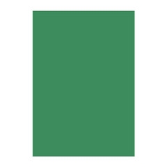 Картон Papicolor A4 270 g/m2 10 л. Т. зелен
